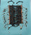 LARGE INDIAN STYLE BUFFALO BONE BREAST CHEST PLATE  ( sold by the piece / color )