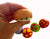 2" Squish Mushroom Assortment Toy ( sold by the piece or dozen)