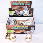 HATCH EM GROWING LIZARD EGGS (Sold by the dozen)
