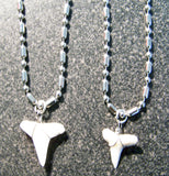 STAINLESS STEEL BALL CHAIN NECKLACE W WIRE WRAPPED REAL SHARK TOOTH PENDANT  ( sold by the peice or dozen )