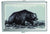 SNOW ANIMAL METAL CIGARETTE CASE (Sold by the piece)