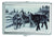 SNOW ANIMAL METAL CIGARETTE CASE (Sold by the piece)