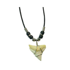 TIGER SHARK TOOTH ROPE NECKLACE (Sold by the piece or dozen)