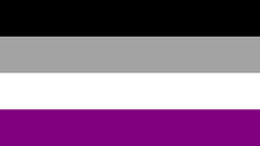 ASEXUAL rainbow PRIDE 3 X 5 FLAG ( sold by the piece )