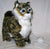 battery oper REMOTE CONTOL WALKING & MEOWING KITTEN CAT ( sold by the piece )