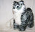 battery oper REMOTE CONTOL WALKING & MEOWING KITTEN CAT ( sold by the piece )