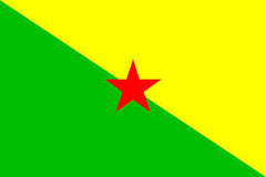 GUIANA COUINTRY 3' X 5' FLAG (Sold by the piece) CLOSEOUT $ 2.50 EA