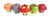 2" Squish Mushroom Assortment Toy ( sold by the piece or dozen)