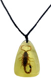 GLOW IN THE DARK REAL SCORPION ADJUSTABLE NECKLACE (Sold by the piece or dozen)