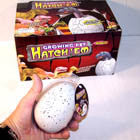 JUMBO GROWING DINOSAUR EGGS (Sold by the dozen )