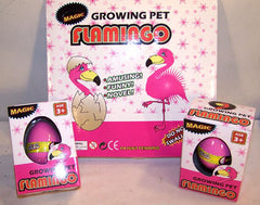 HATCHING & GROWING FLAMINGO EGGS (Sold by the piece or dozen) *- CLOSEOUT 75 CENTS EA