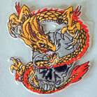 DRAGON AND SKULL PATCH (Sold by the piece)