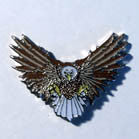 FLYING EAGLE HAT / JACKET PIN (Sold by the piece)