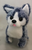 Walking Barking Cute Fluffy Toy Husky Dog(sold by the piece or dozen)
