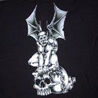 GARGOYLE ON SKULL 45 INCH WALL BANNER / FLAG  (Sold by the piece) -* CLOSEOUT ONLY $2.95 EA