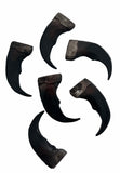 2 Inch Resin Grizzly Bear Claw Replicas  (Sold by the dozen)